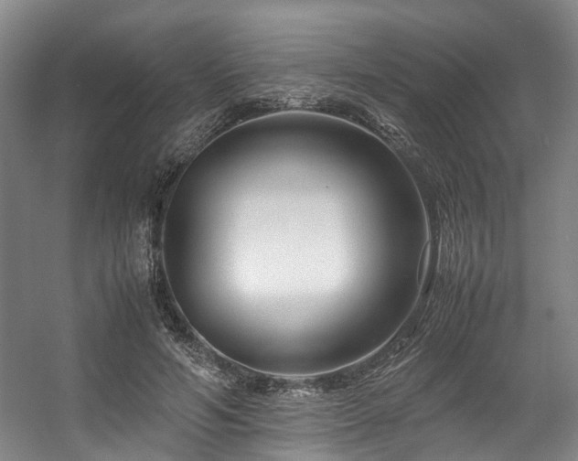 X0000057560594200509161005