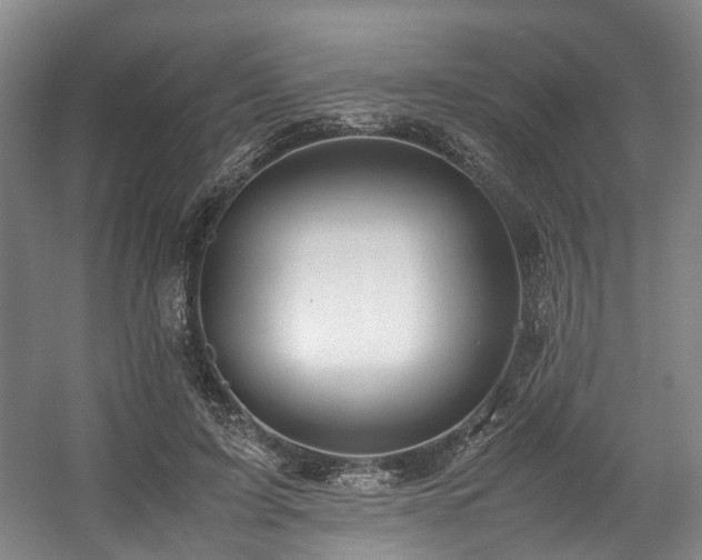 X0000057560595200509161005