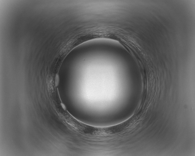 X0000057560597200509161005