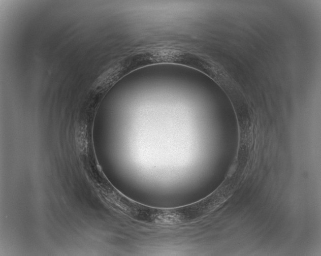 X0000057560599200509161005