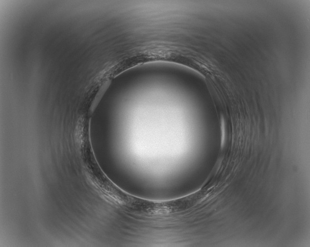 X0000057560600200509161005