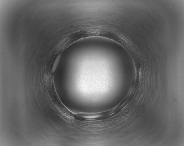 X0000057560601200509161005