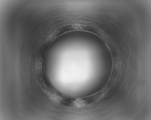 X0000057560603200509161005