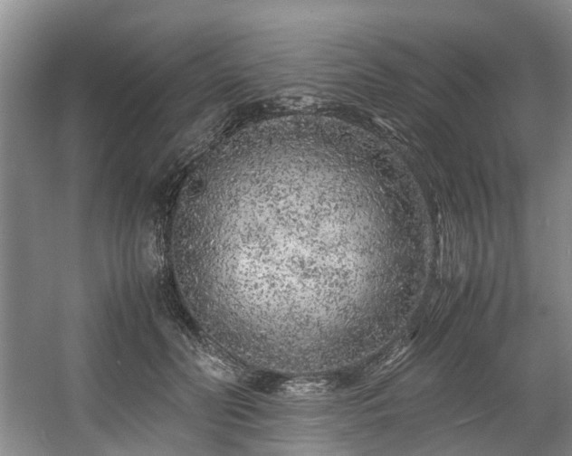 X0000057560606200509161005