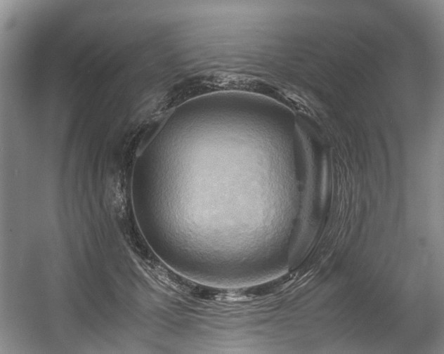 X0000057560607200509161005