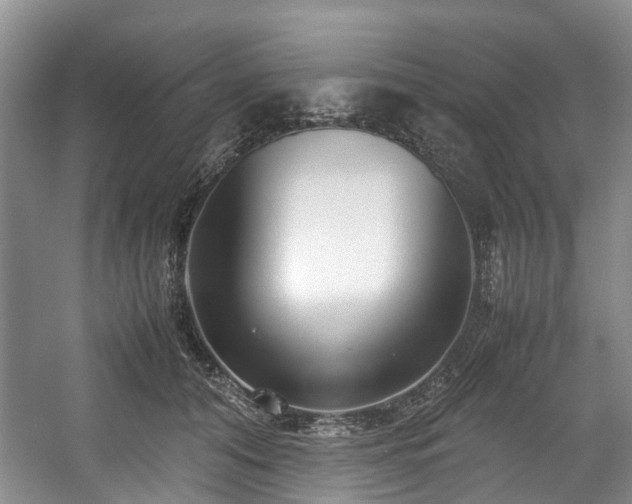 X0000057560608200509161005