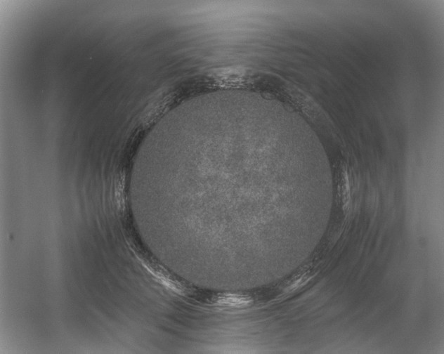 X0000057560610200509161005