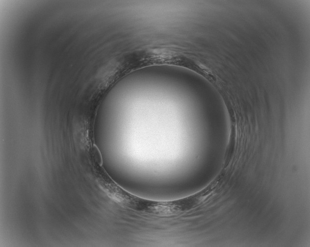 X0000057560615200509161005