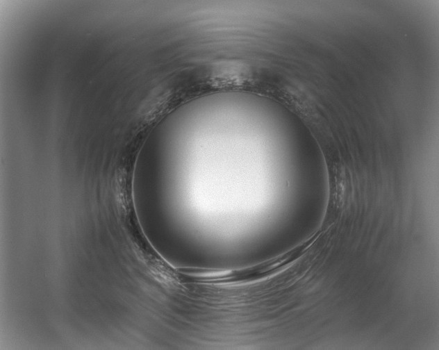 X0000057560616200509161005
