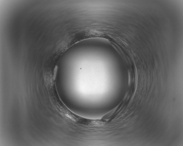 X0000057560617200509161005