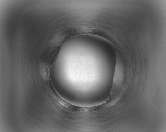 X0000057560624200509161005