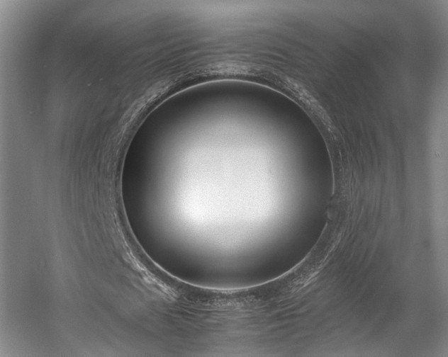 X0000057560625200509161004