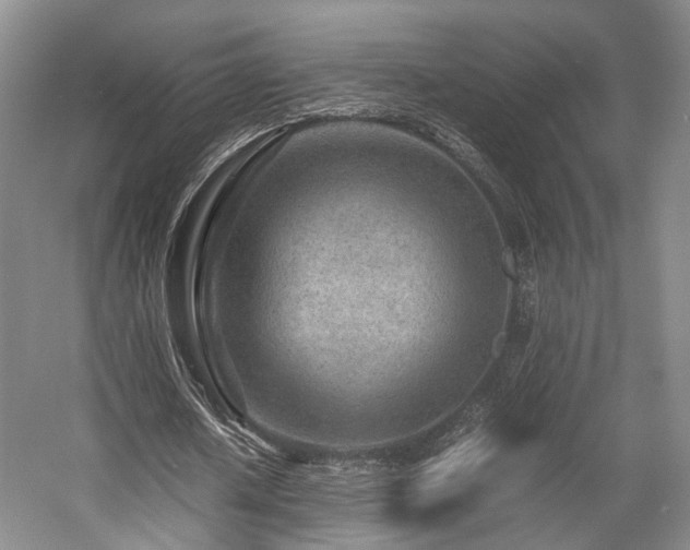 X0000057560626200509161004