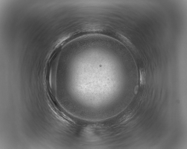 X0000057560627200509161004