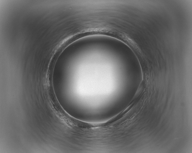 X0000057560628200509161004
