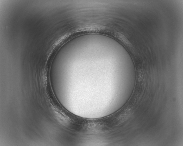 X0000057560632200509161004