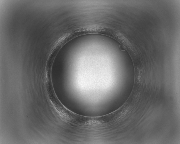 X0000057560636200509161004