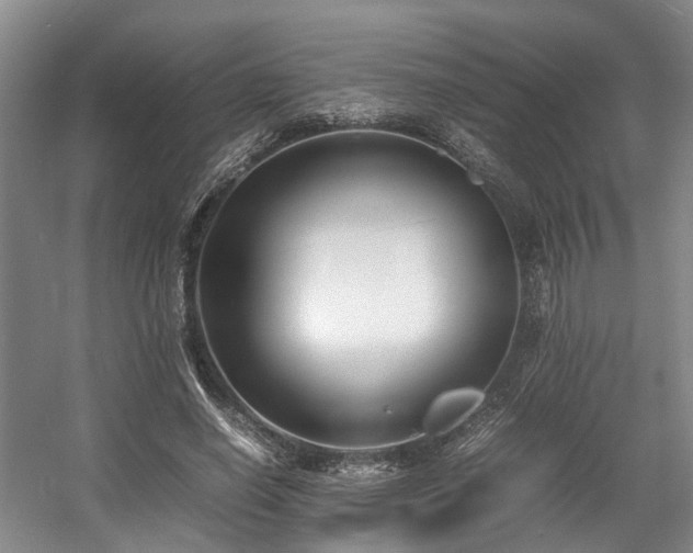 X0000057560638200509161004