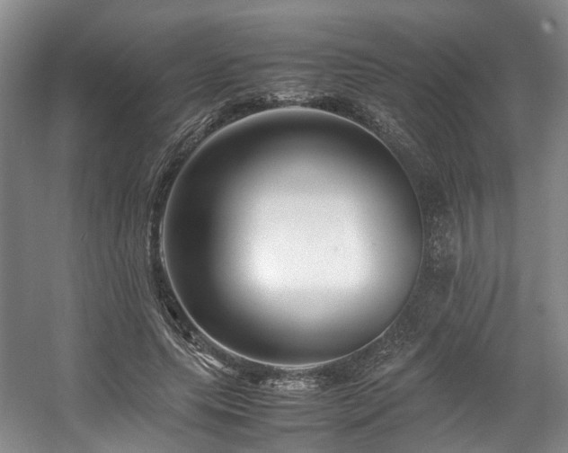 X0000057560639200509161004