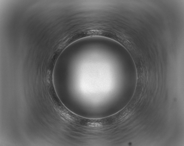 X0000057560649200509161004