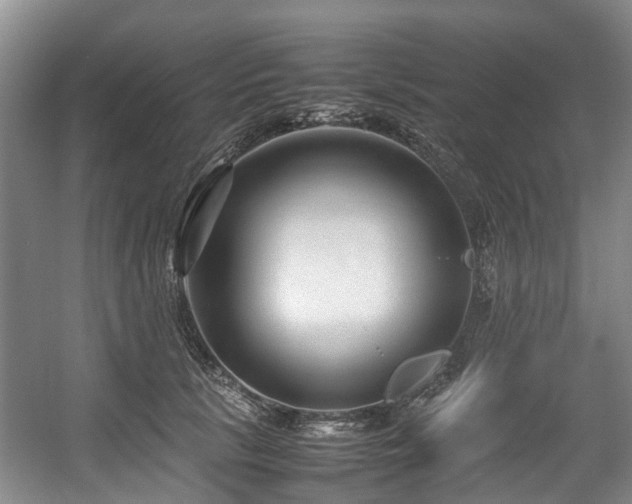 X0000057560657200509161004