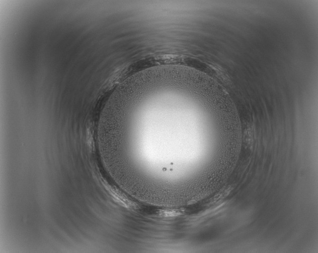 X0000057560662200509161004