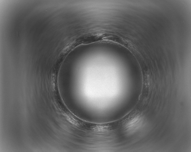 X0000057560664200509161005