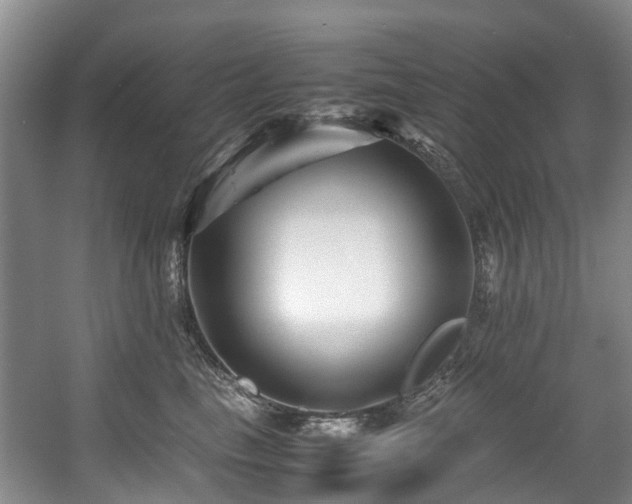 X0000057560665200509161005