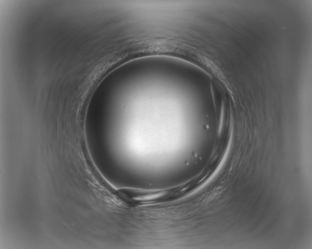 X0000057560673200509161004