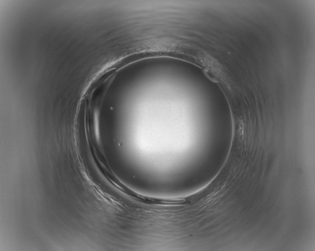 X0000057560676200509161004