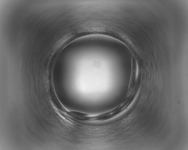 X0000057560677200509161004
