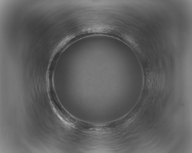 X0000057560678200509161004