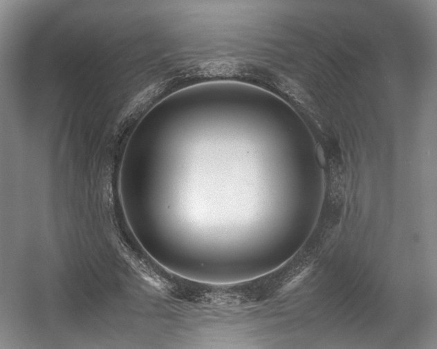 X0000057560681200509161004