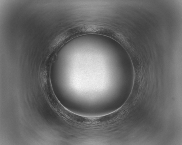 X0000057560683200509161004