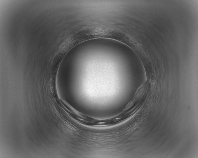 X0000057560689200509161004