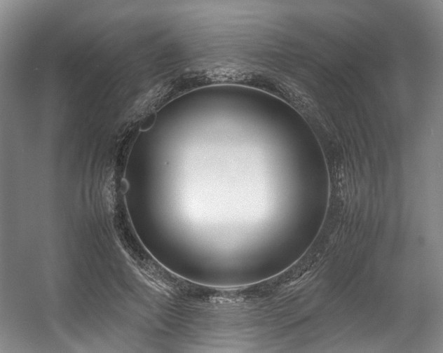 X0000057560690200509161004