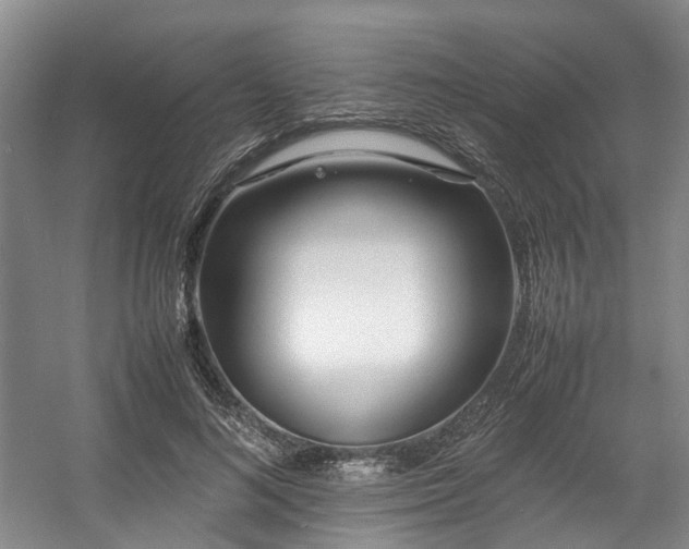 X0000057560692200509161003
