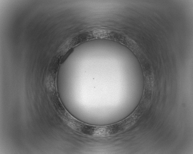X0000057560705200509161003
