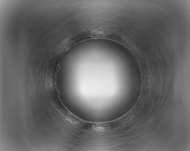 X0000057560706200509161003
