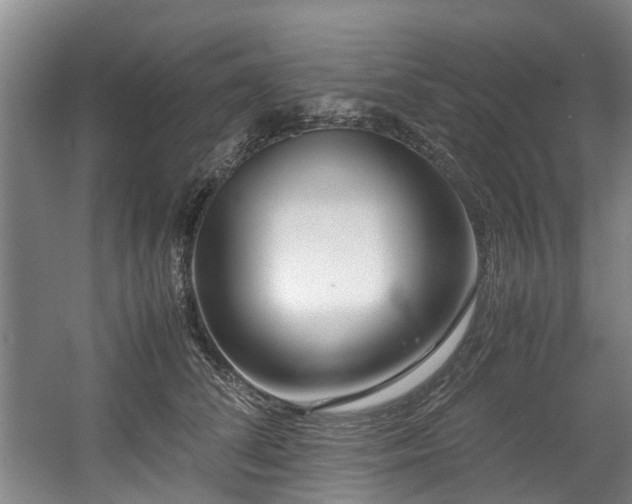X0000057560708200509161003