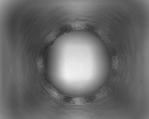 X0000057560713200509161003
