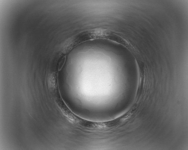 X0000057560715200509161003