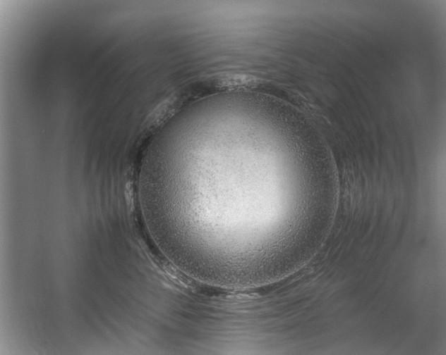 X0000057560716200509161003