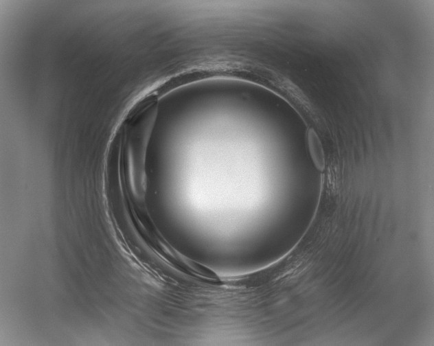 X0000057560724200509161002