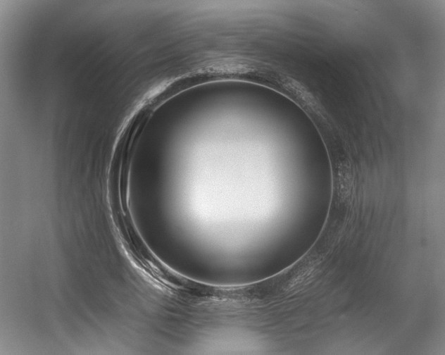 X0000057560726200509161002