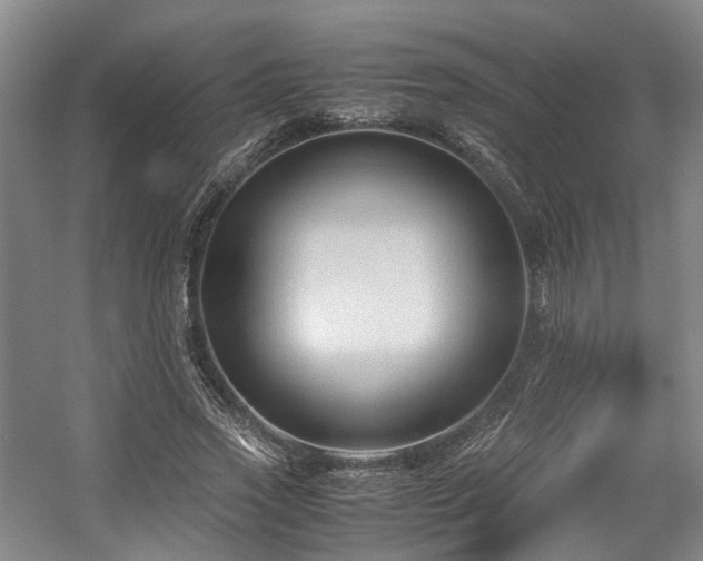 X0000057560733200509161002