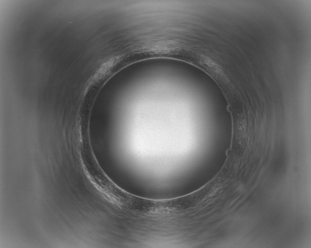 X0000057560734200509161002