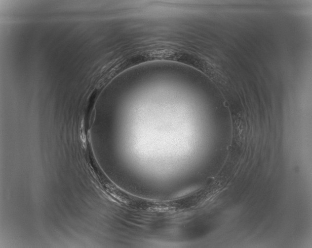 X0000057560745200509161003