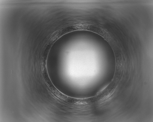 X0000057560749200509161003