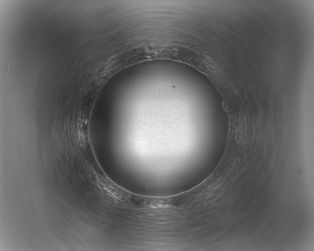 X0000057560770200509161002